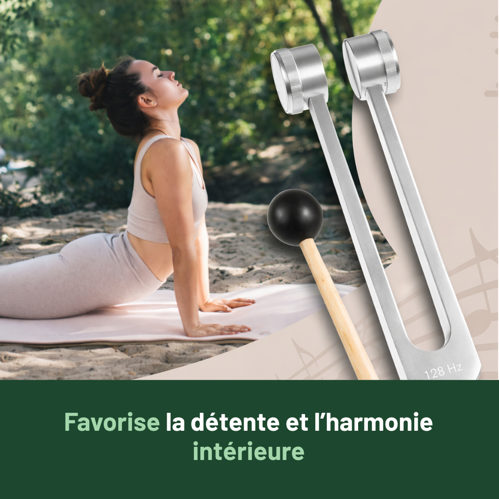 Diapason EchoCalm – Un outil de relaxation par les vibrations sonores